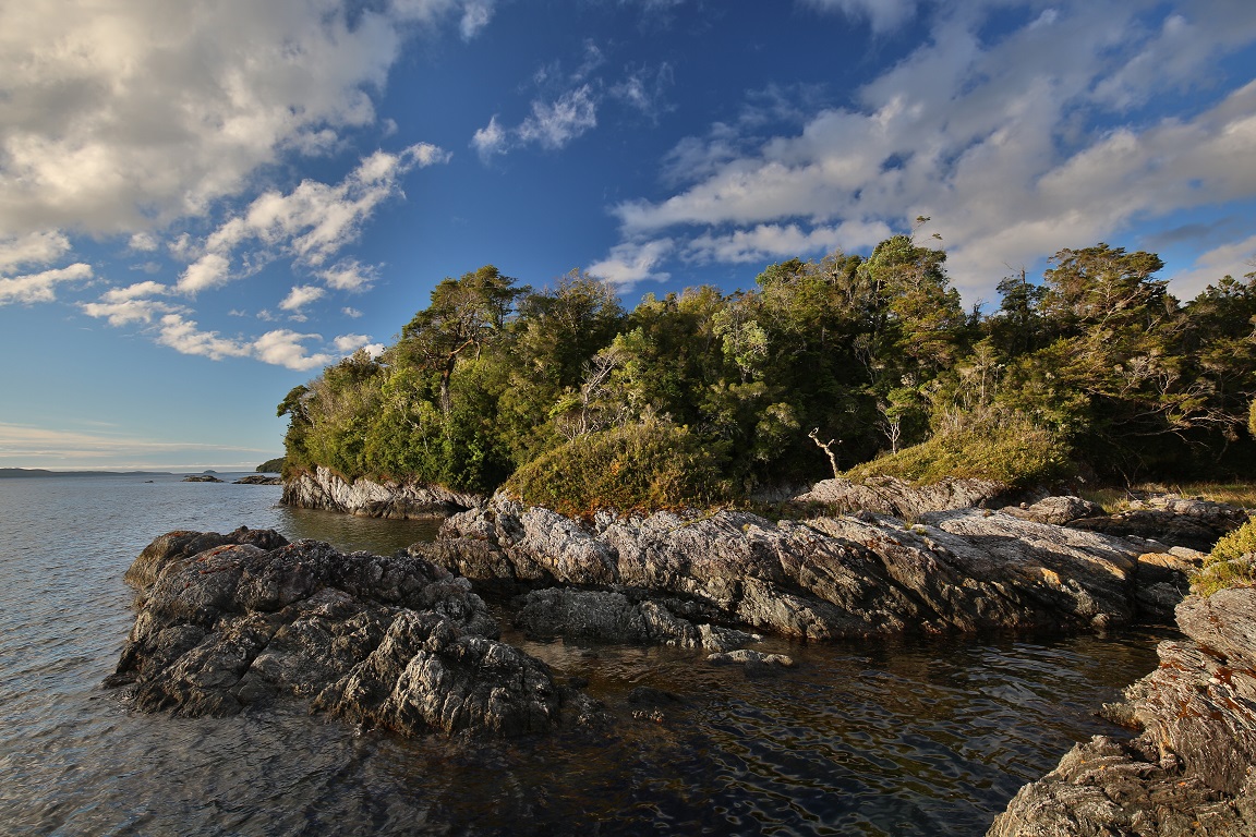 Isla Guafo “la pequeña Galápagos”, un paraíso en el sur de Chile