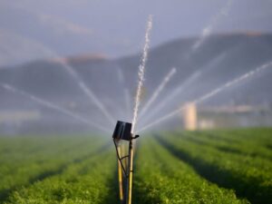 486-6 TECNOLOGÍA_escasezhídricachile_Foto de FREDERIC J. BROWN (AFP)