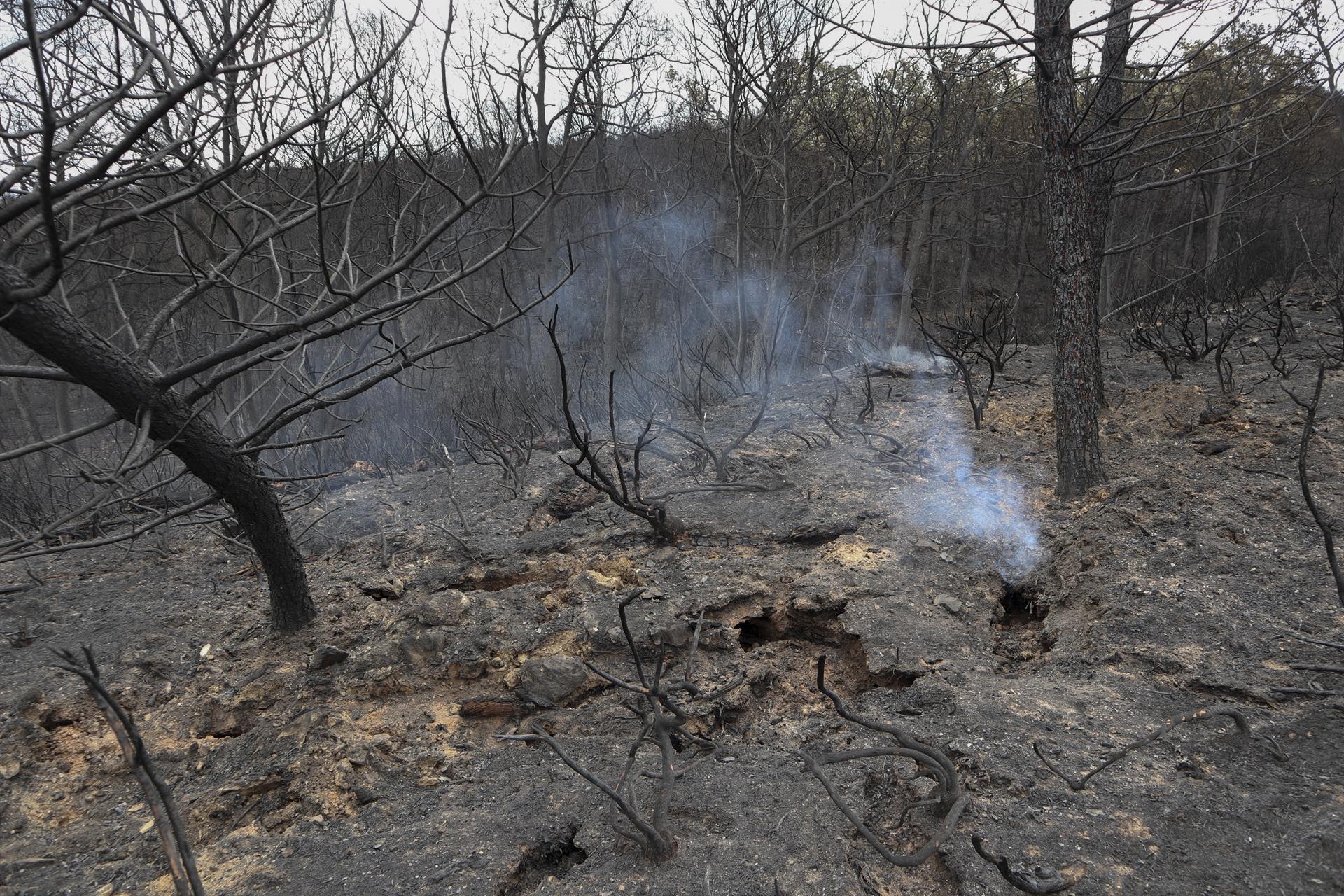 Los incendios en Europa y Reino Unido generaron 6,4 megatoneladas de carbono