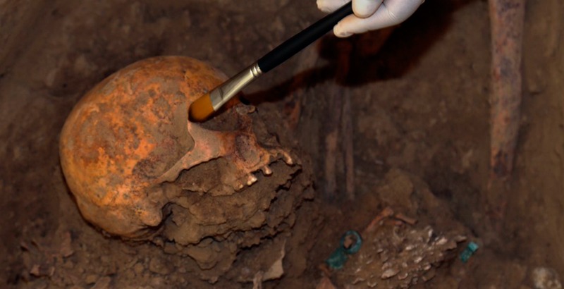 Hallan en China un fósil de cráneo de Homo erectus de hace un millón de años