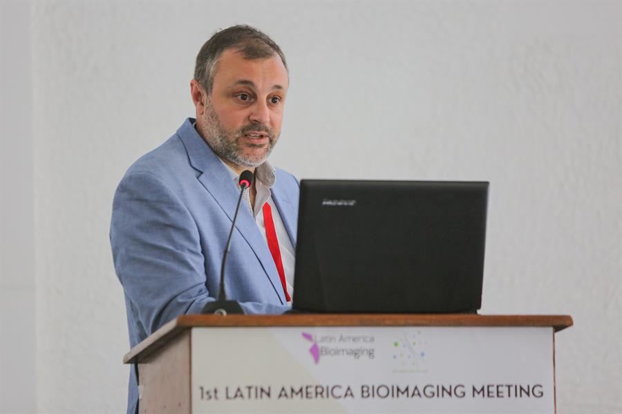 Científicos ponen en el mapa la bioimagenología latinoamericana con nueva red