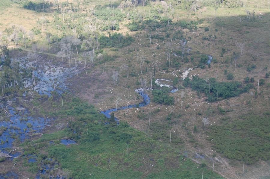 La agricultura impulsa más del 90 % de la deforestación tropical