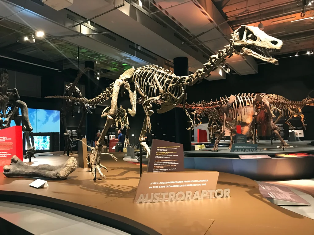 Una exposición en Miami muestra todo de los «exóticos» dinosaurios del sur