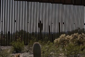 US-MEXICO-ENVIRONMENT-BORDER-WALL