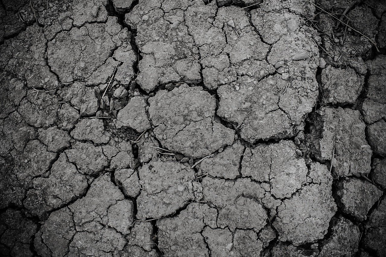 El río Elster en Alemania sufre de sequía extrema