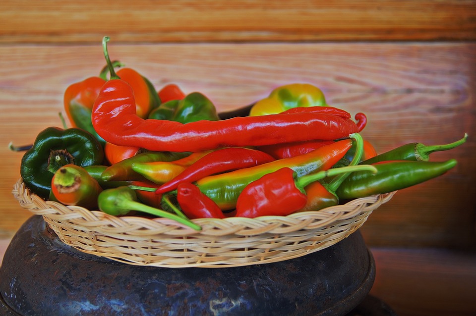 Conoce los más de 50 tipos de chiles que se usan en la gastronomía mexicana