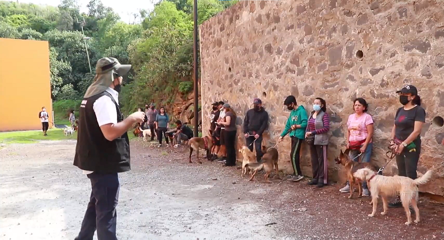 En México crean un taller para entrenar a perros en tareas de rescate