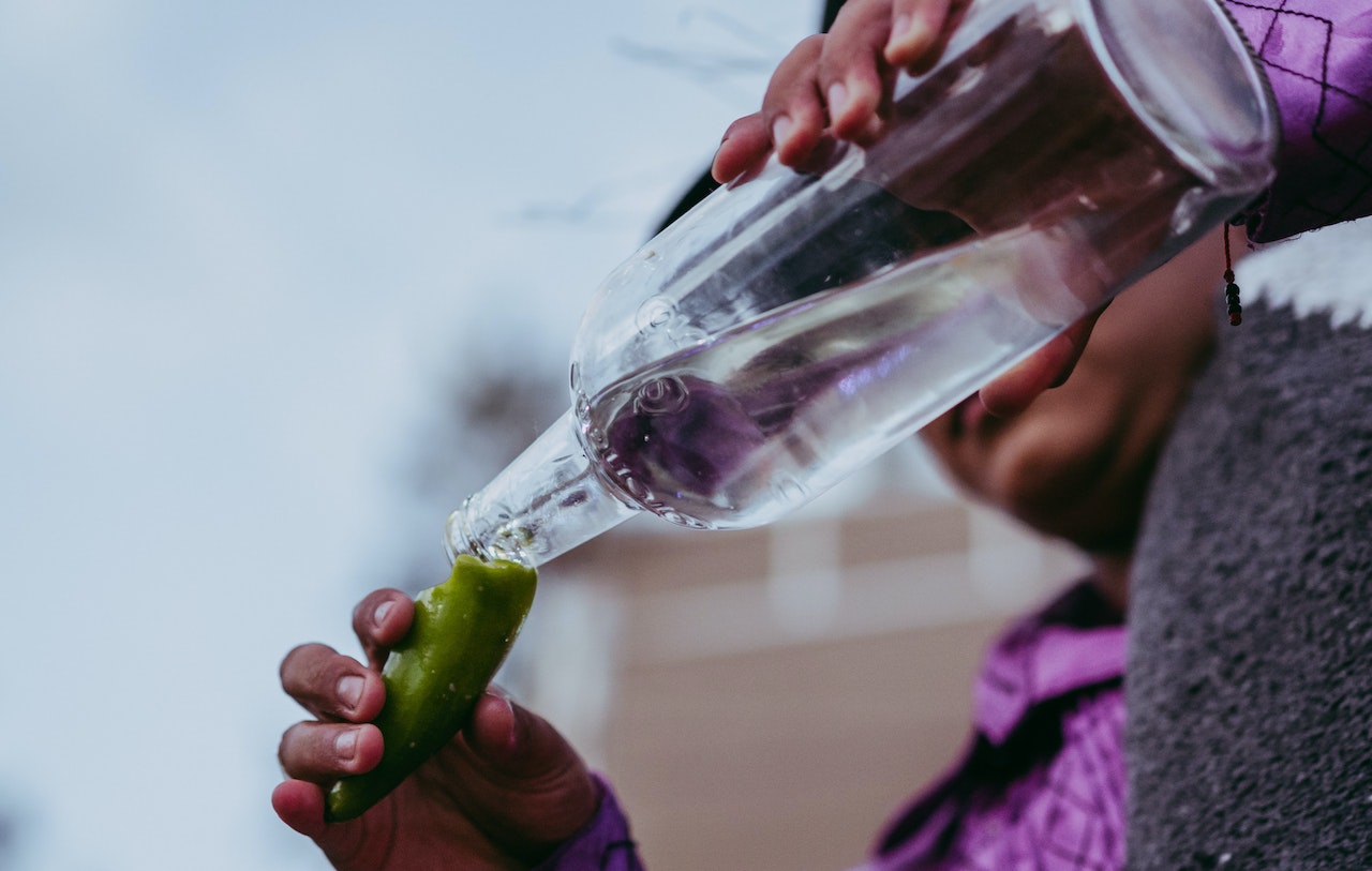 El “boom” del mezcal y los riesgos de su sobreexplotación