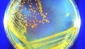 6357f109444bd.r_d.416-373-8578