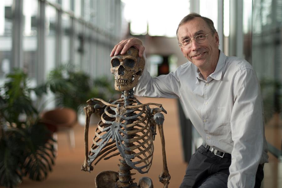 Nobel de Medicina a descubrimientos del genoma en especies extintas