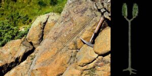 Descubren-refugios-de-la-flora-carbonifera-en-los-Pirineos