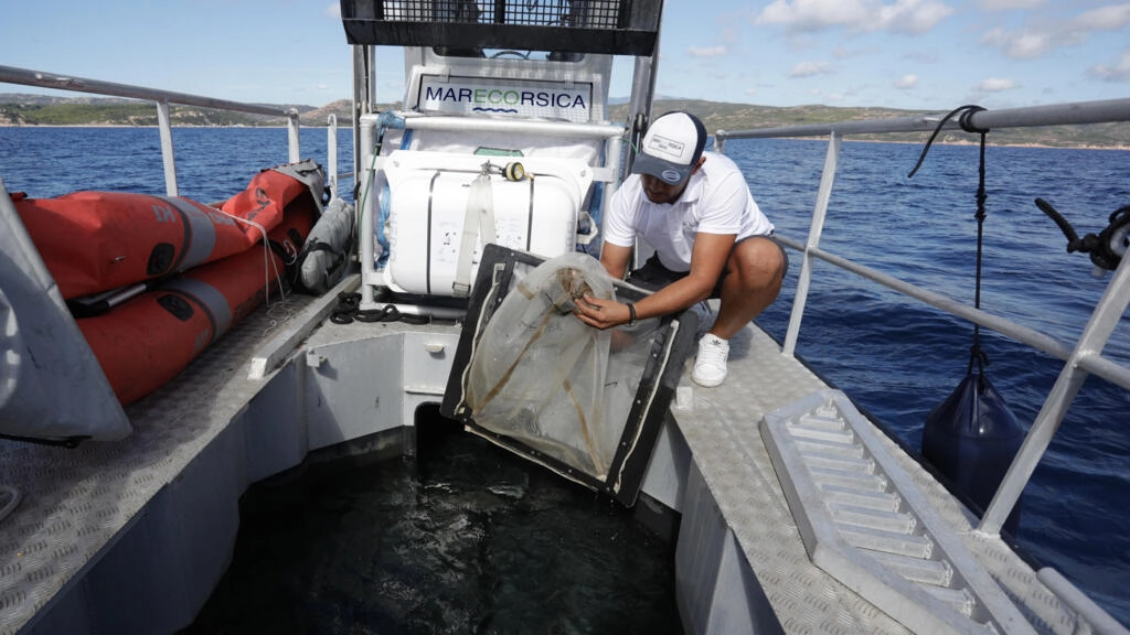 «Cerrar el grifo» del plástico para salvar el Mediterráneo