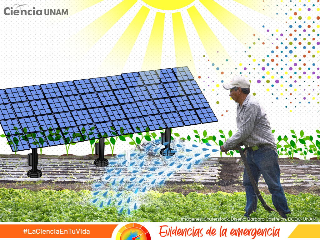 Especial Emergencia Climática: Chinampas agrovoltaicas, impulsar la agricultura y la energía solar