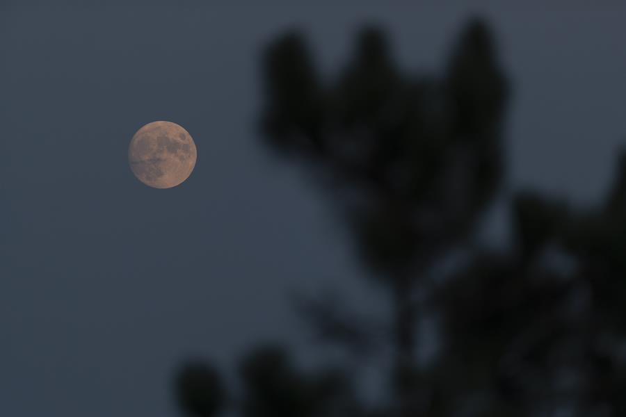 La «luna del cazador», la primera luna llena del otoño