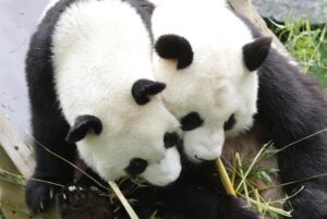 db1e6ae3fba490f9f88a898406ba89787cd72253miniw