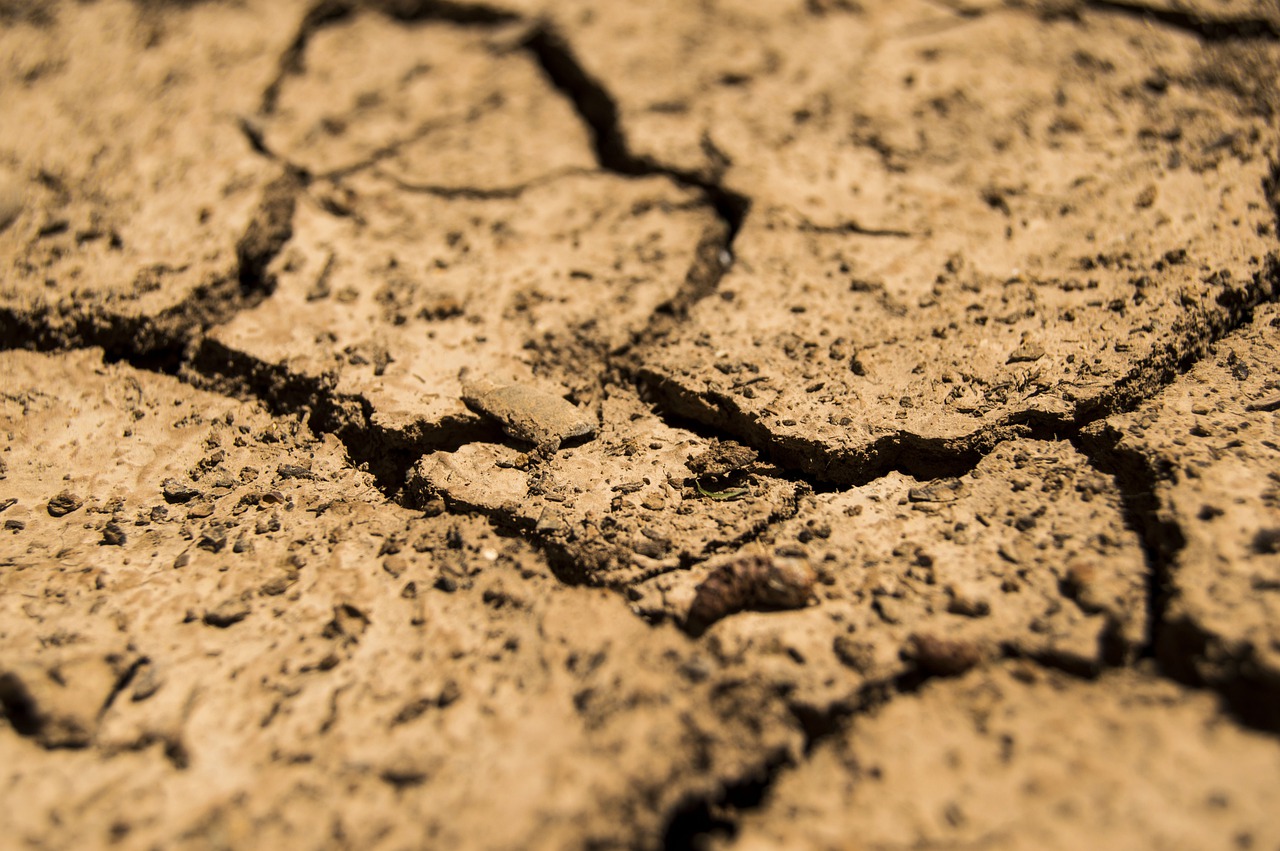 La sequía reduce al mayor lago de agua dulce de China a un 28 % de su tamaño