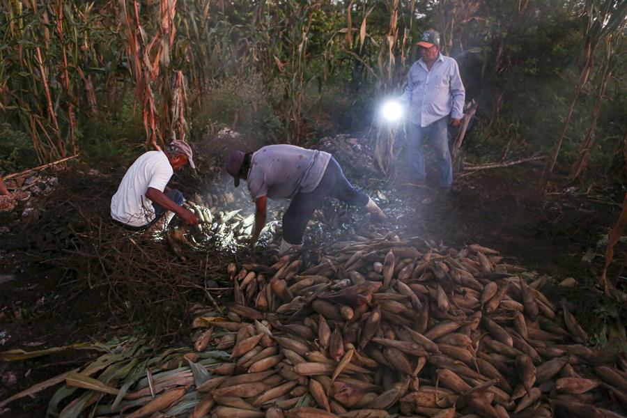 Campesinos mexicanos buscan proteger tradición gastronómica prehispánica