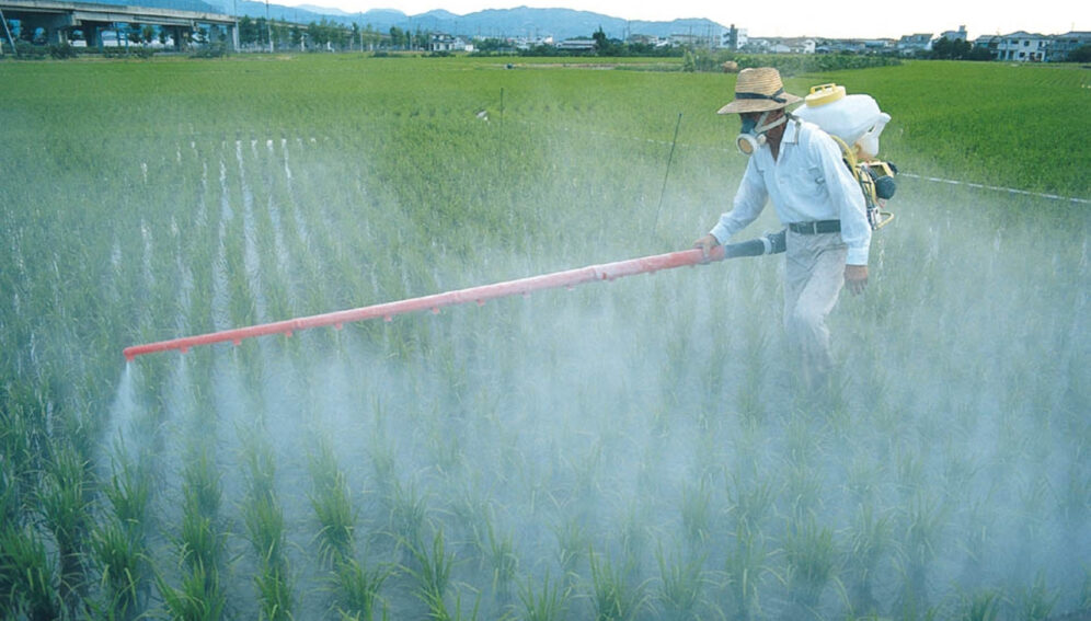 Estudio regional señala debilidades en investigación sobre pesticidas