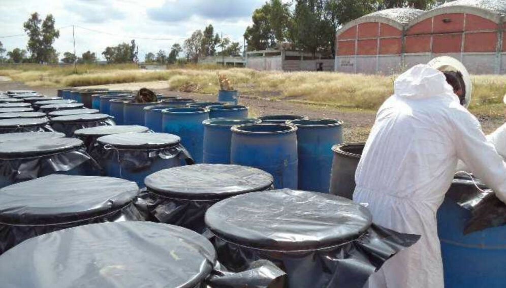 Pesticidas en niños luego de décadas de desastre ambiental