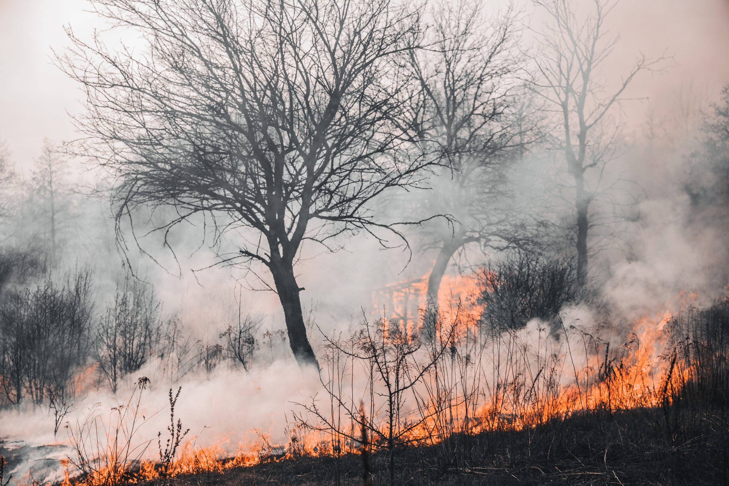 Incendios forestales en el sur de Perú han destruido 2.110 hectáreas de campo