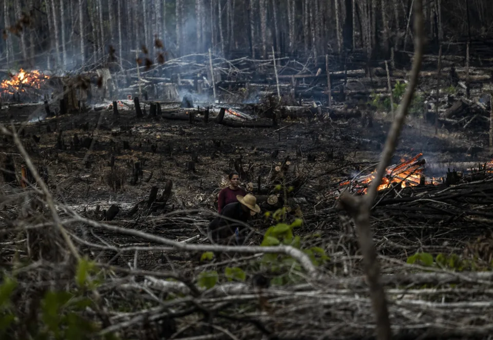 La deforestación en la Amazonía brasileña bate récord en octubre y supera todo 2021