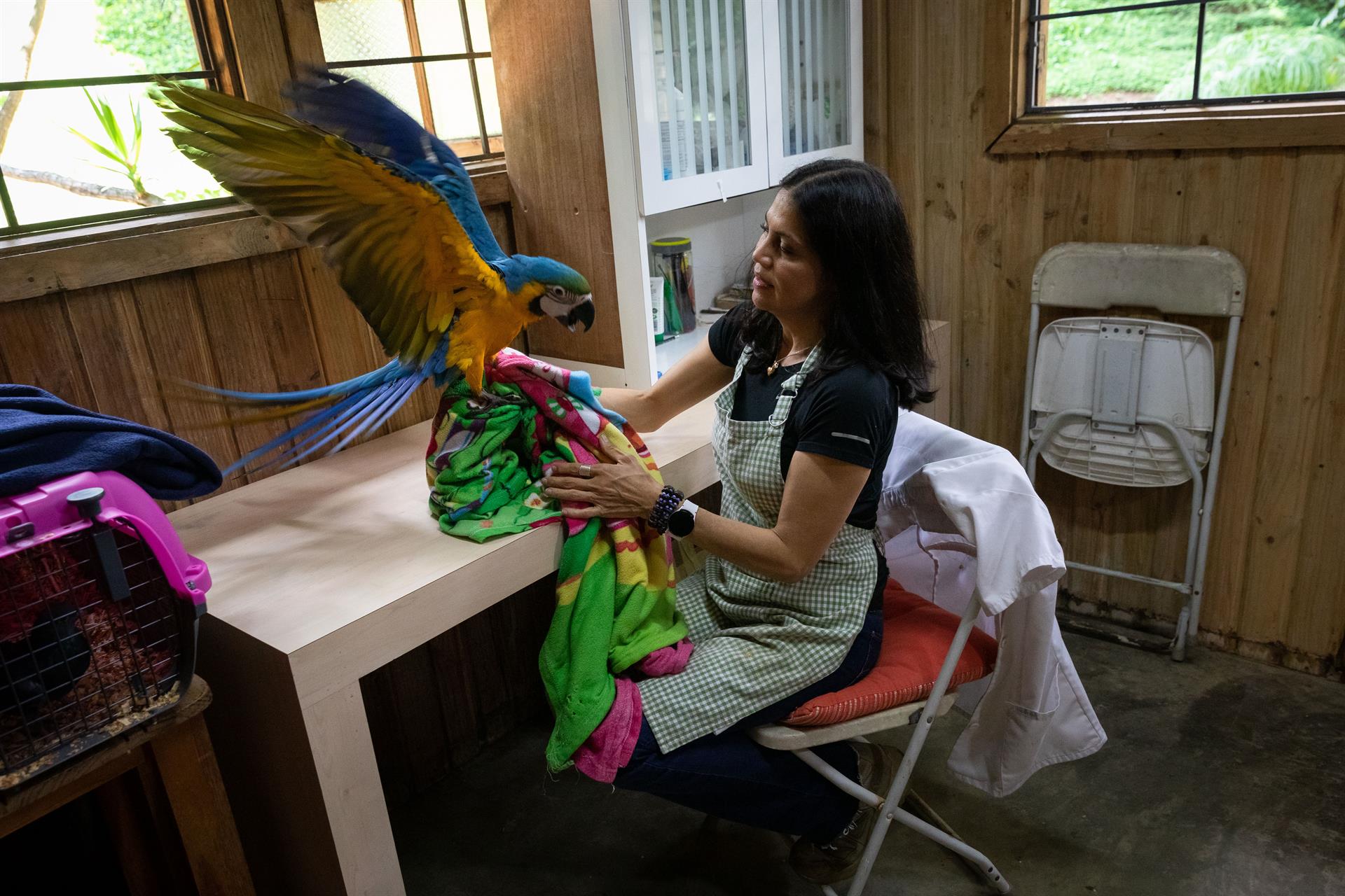 En Venezuela acondicionan una cabaña para refugiar y atender fauna silvestre