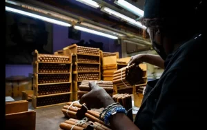 503-9 CULTURA_fabricacionhabanos_Foto de AFP