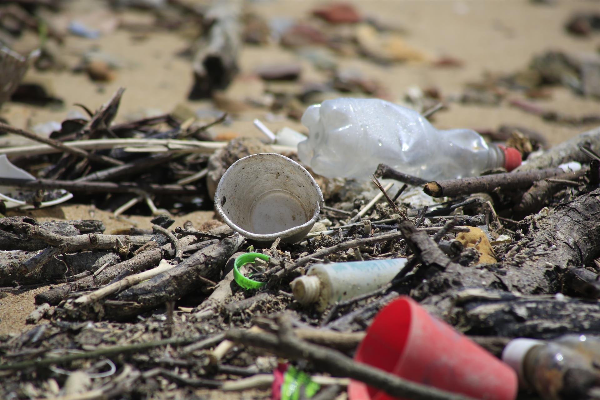 La contaminación por microplásticos amenaza las lagunas costeras del planeta