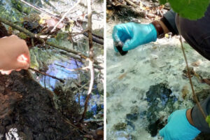 Falling-Walls-Engage-3-851×567