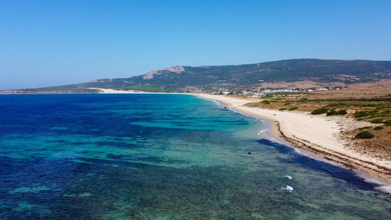 Imágenes de dron y satélite monitorizan una macroalga invasora de las costas andaluzas