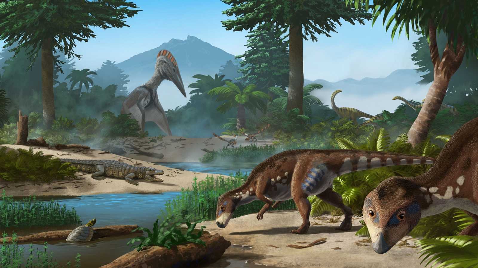 Descubren una nueva especie de dinosaurio enano que habitó en Transilvania