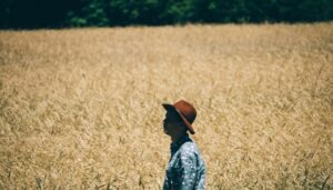 man-grass-person-plant-sun-field-58871-pxhere.com_-996×567