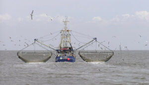 pesca-ilegal-996×567