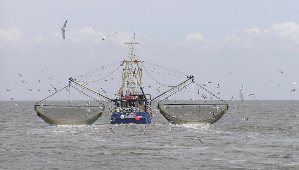 “Flota fantasma” depreda los mares sudamericanos