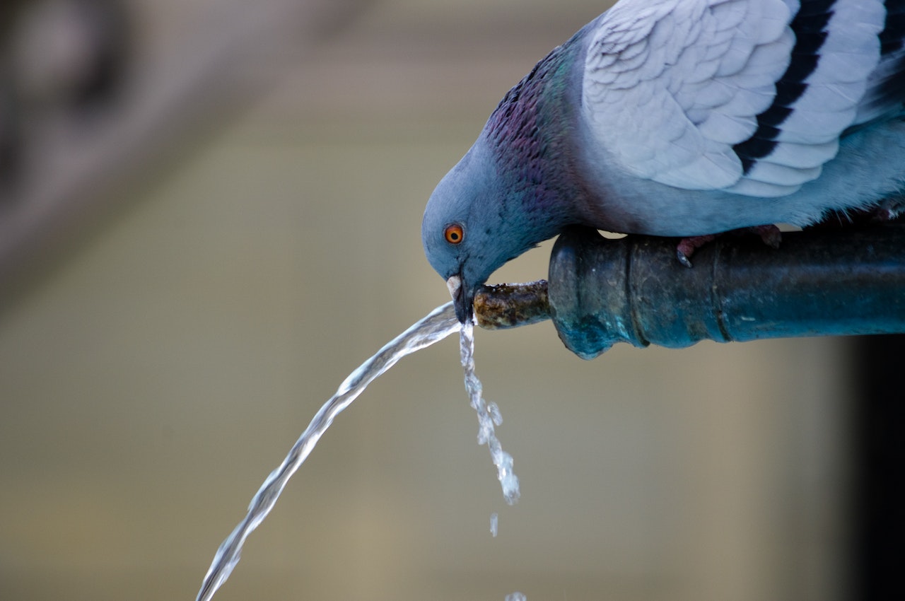 Una universidad colombiana es clave en proyectos de agua potable