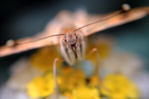 23686c1c659e175b8a1ca88bcc174e19787d114eminiw