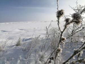 236ac3c06a1853040ddfc75ced6a46e9d34a105aminiw