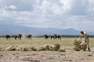 KENYA-CLIMATE-DROUGHT