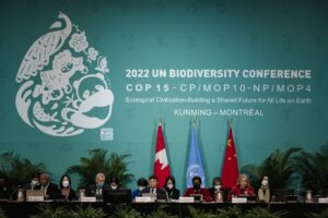 UN Biodiversity Conference – COP15