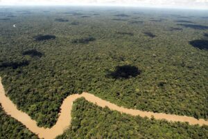 El 94 % de las poblaciones de especies latinoamericanas está en declive, según WWF