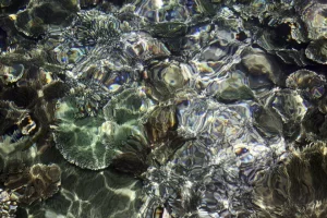 9400f7324c8d4e2552a7da3e50ab7321