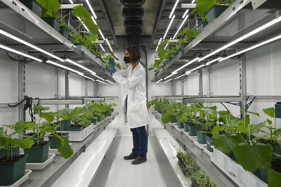 La inteligencia artificial abre un mundo de posibilidades en agroalimentación