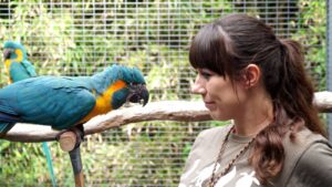 Los-loros-son-capaces-de-recordar-lo-que-hacen-unos-segundos