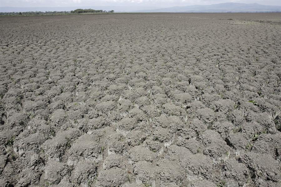 El impacto del cambio climático en África empeorará en 2023, según la ONU