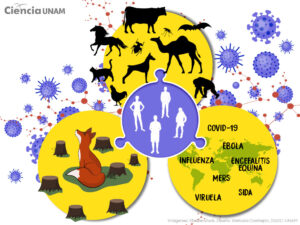 ar_biodiversidad_pandemias_01_25102022