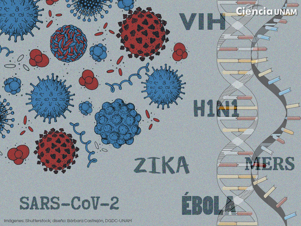 Coronavirus. Las mutaciones de los virus y el papel que juegan en una pandemia