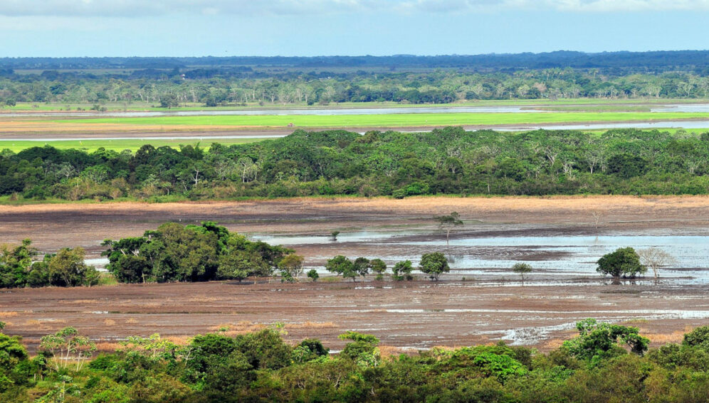 Biodiversidad amenazada pese a compromisos de cero deforestación