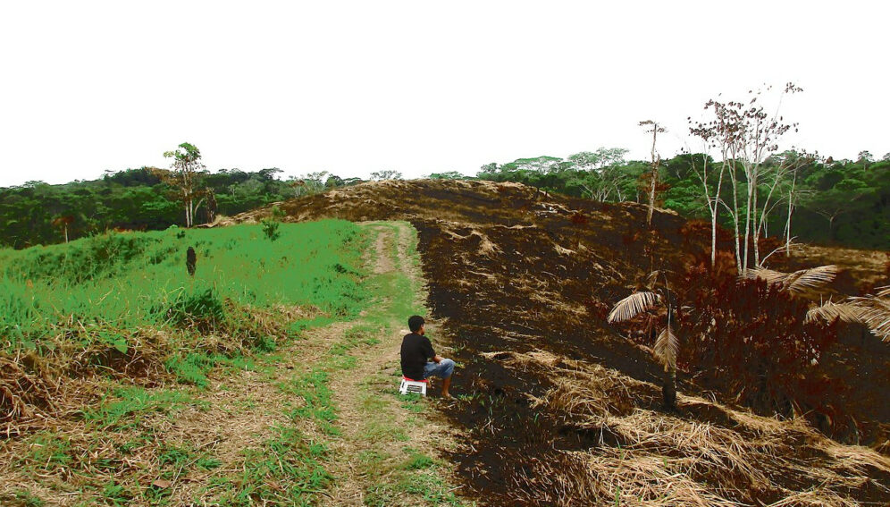 Ley de la UE contra deforestación tendría efecto adverso en la región