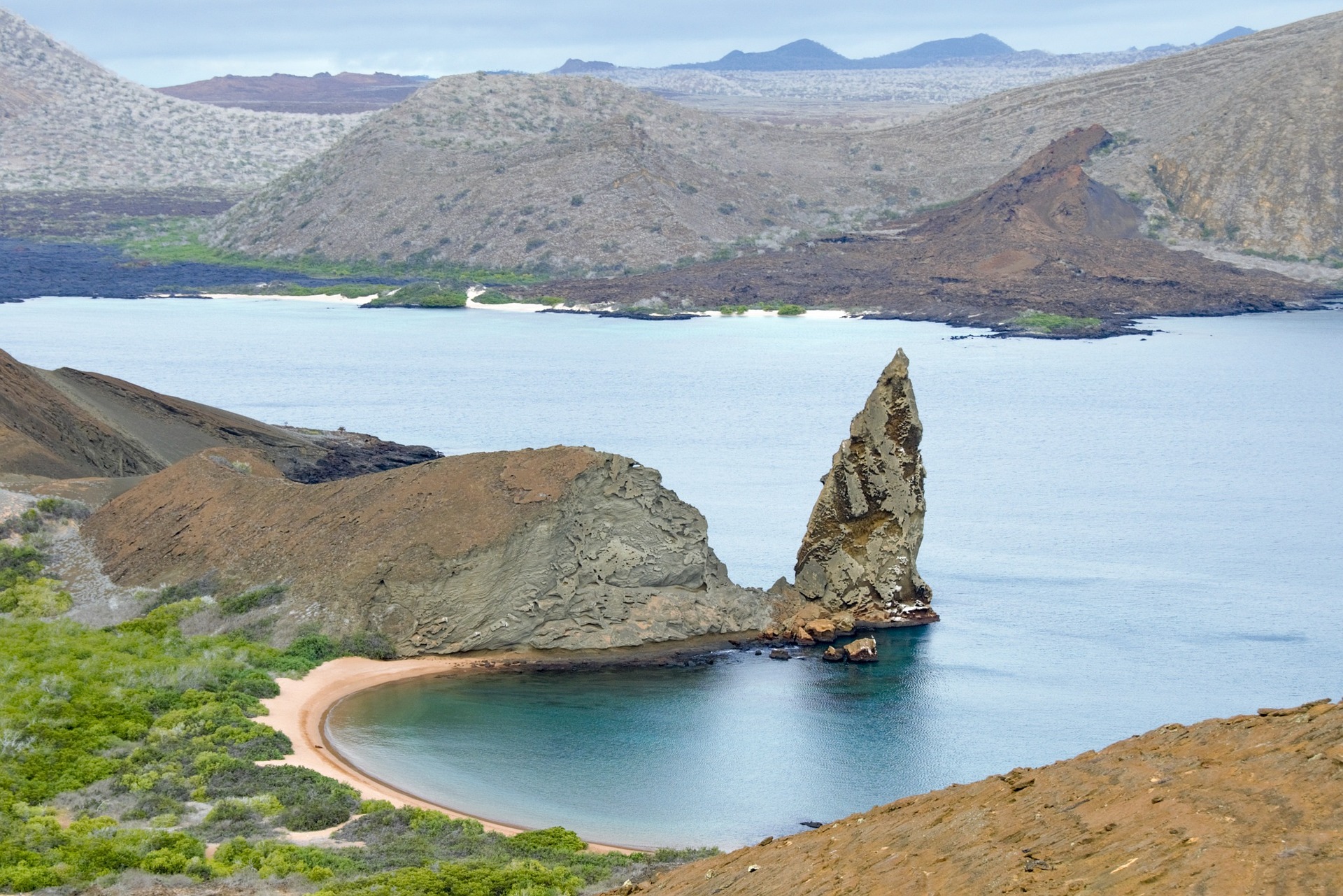 Científicos elaboran base de datos de especies marinas invasoras en Galápagos