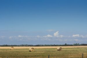 pexels-jola-kedra-11482823